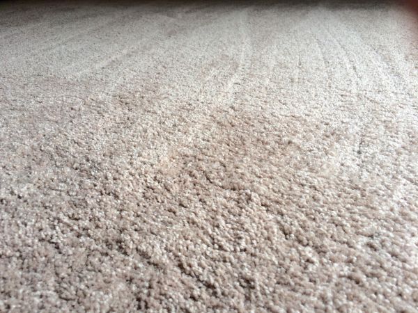 Plush Carpet Installation in Menifee