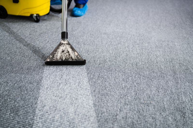 Equipment Used in Carpet Cleaning